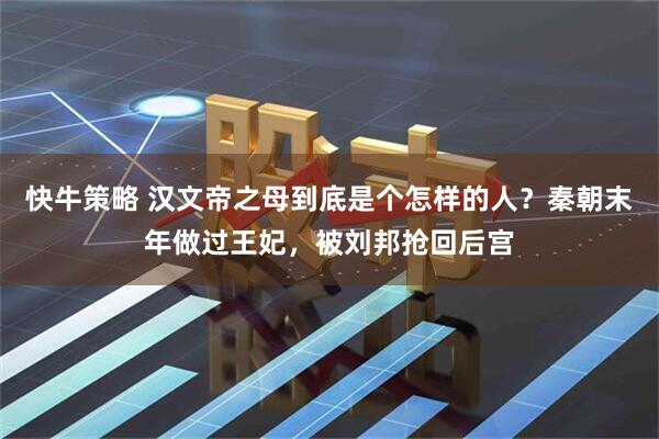 快牛策略 汉文帝之母到底是个怎样的人？秦朝末年做过王妃，被刘邦抢回后宫